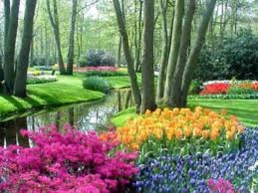 Holandia, Belgia, Ogrody Keukenhof