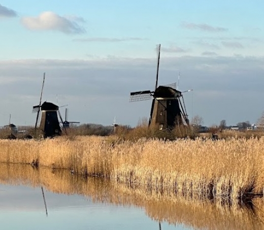 Holandia i Belgia - wiosna